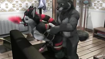 Furry bondage