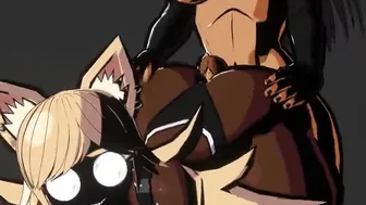 Silly little cat – no sound