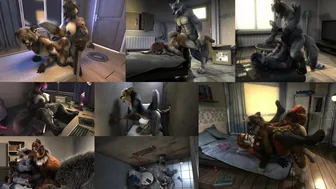 H0rs3 Wall [Collage Compilation]