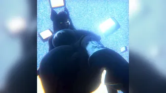 The Secrets Behind The Screen [Xazter3D]