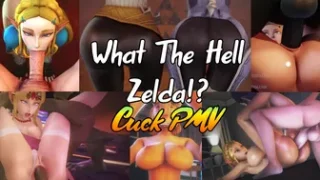 What The Hell Zelda!? Cuck PMV