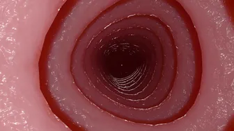 [Sodeno19][4K] Camellya WIP