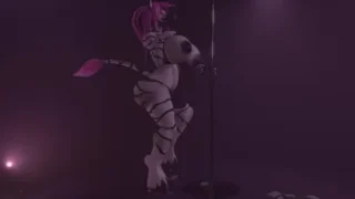 Wennie the zebra poledance