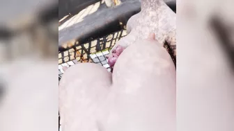 Nier Girls (Kaine POV) [milkygirls]